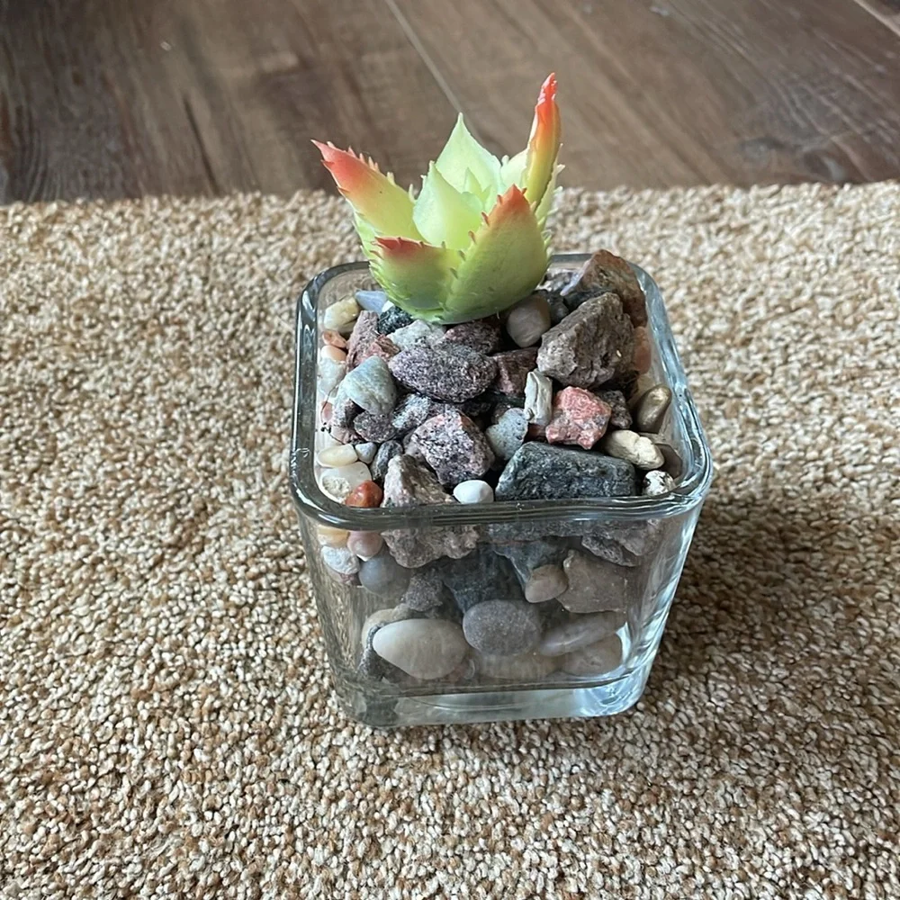 Square glass faux succulent
